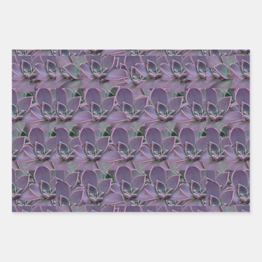 Lila Geschenkpapier Set (Vorderseite 2)