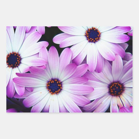 Lila Geschenkverpackungsblätter Geschenkpapier Set (Vorderseite 2)