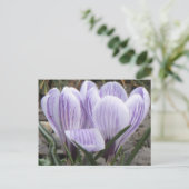 Lila gestrichene Kreuze Postkarte (Stehend Vorderseite)