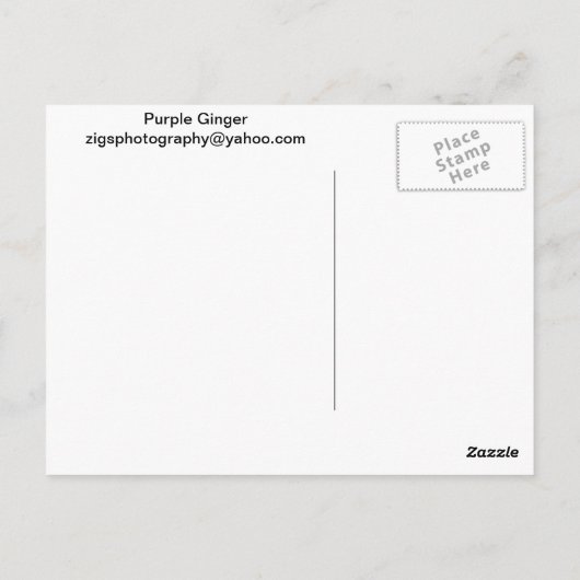 Lila Ginger Postkarte (Rückseite)