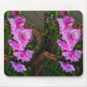 Lila Gladiola Blume Mousepad