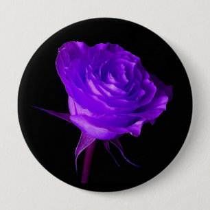 "Lila Glühen-" Rose Button