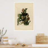 Lila Grakle Poster (Küche)