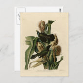 Lila Grakle Postkarte (Vorne/Hinten)