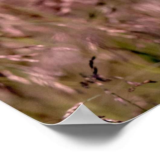 Lila Gras Poster (Ecke)