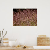 Lila Gras Poster (Küche)