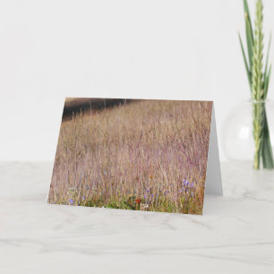 Lila Gras und Wildblumen Karte