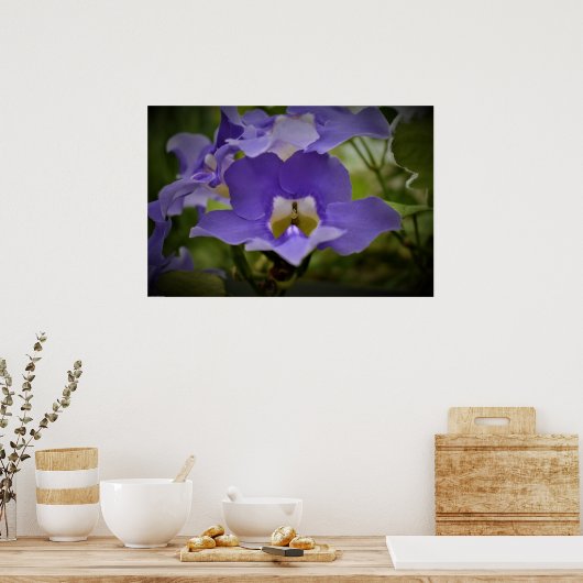 Lila & grün, poster (Küche)