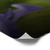 Lila & grün, poster (Ecke)