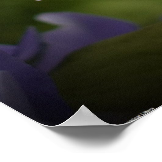 Lila & grün, poster (Ecke)