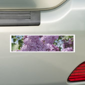 Lila Gruppe Autoaufkleber (Auf Auto)