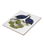 Lila Guinea Fliese (Seite)