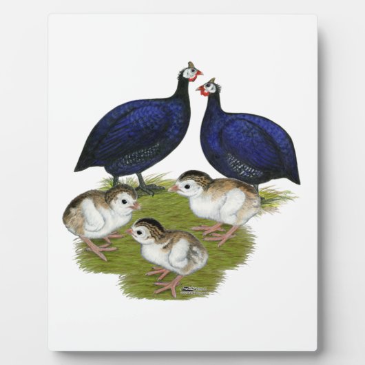 Lila Guinea Fotoplatte (Vorderseite)