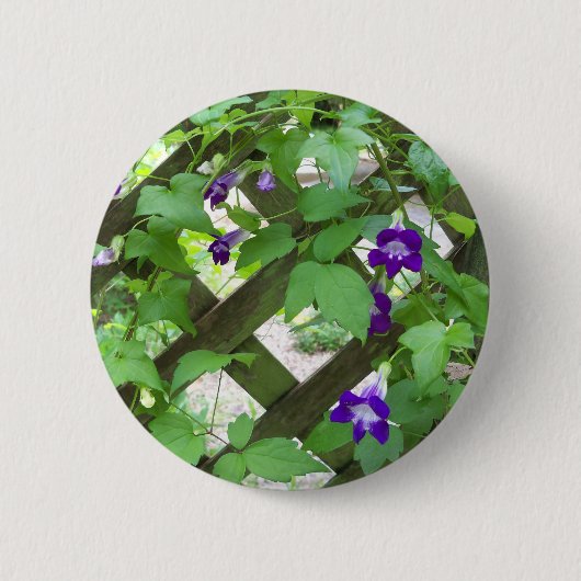 lila hängende Löwenmäuler Button (Vorderseite)