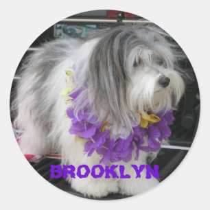 LILA HAWAII AUFKLEBER BROOKLYNS