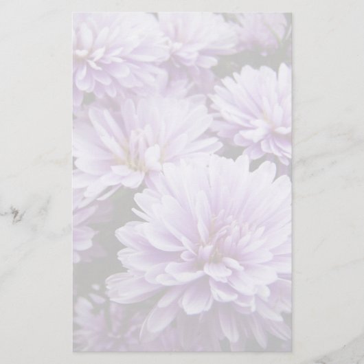 Lila Haze Chrysanthemas Briefpapier (Vorderseite)