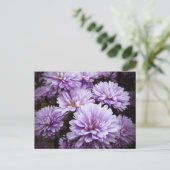 Lila Haze Chrysanthemas Postkarte (Stehend Vorderseite)