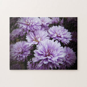 Lila Haze Chrysanthemas Puzzle