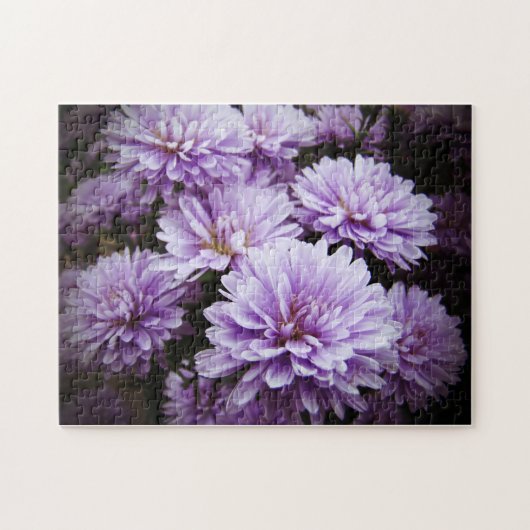 Lila Haze Chrysanthemas Puzzle (Horizontal)