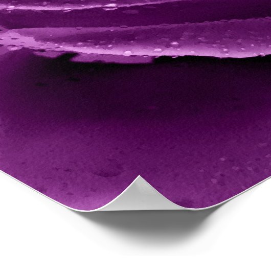 Lila Haze Poster (Ecke)