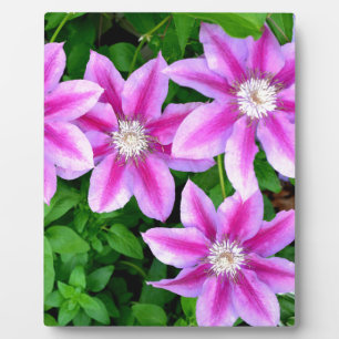 lila, hellrosa Blumen boho botanisch Fotoplatte