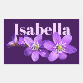 Lila Hepatica-Blumen Name Dunkelviolett Rechteckiger Aufkleber