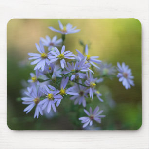Lila Herbst-Aster-BlumenWildblume Mousepad