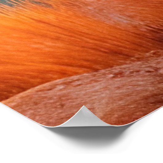 Lila Herbsternte Moon Poster (Ecke)