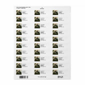 Lila Heron Audubon Bird Wildlife Painting (Vorne)