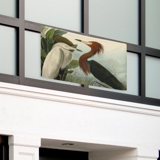 Lila Heron Audubon Bird Wildlife Painting Banner (Äußeres Gebäude)