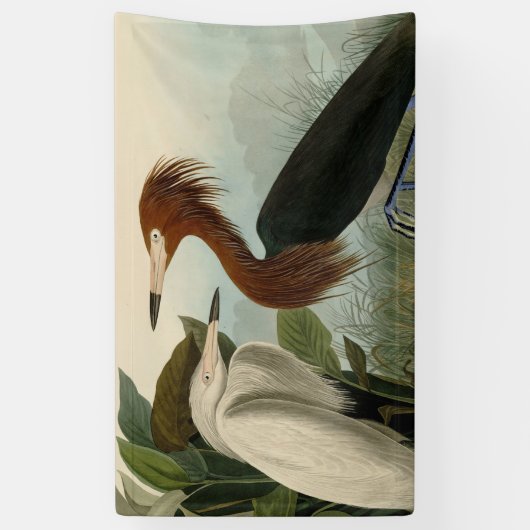 Lila Heron Audubon Bird Wildlife Painting Banner (Vertikal)