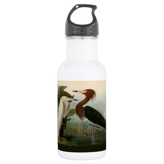 Lila Heron Audubon Bird Wildlife Painting Edelstahlflasche (Vorderseite)