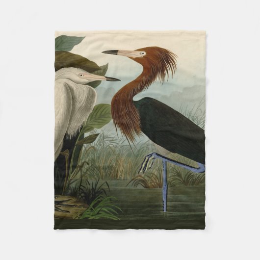 Lila Heron Audubon Bird Wildlife Painting Fleecedecke (Vorderseite)