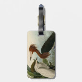 Lila Heron Audubon Bird Wildlife Painting Gepäckanhänger (Rückseite vertikal)