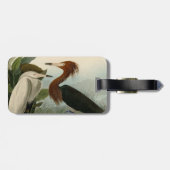 Lila Heron Audubon Bird Wildlife Painting Gepäckanhänger (Rückseite horizontal)