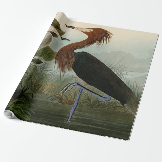 Lila Heron Audubon Bird Wildlife Painting Geschenkpapier (Ungerollt)