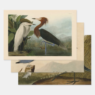 Lila Heron Audubon Bird Wildlife Painting Geschenkpapier Set