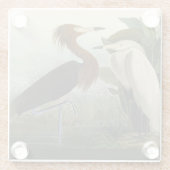 Lila Heron Audubon Bird Wildlife Painting Glasuntersetzer (Rückseite)