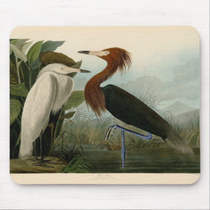 Lila Heron Audubon Bird Wildlife Painting Mousepad