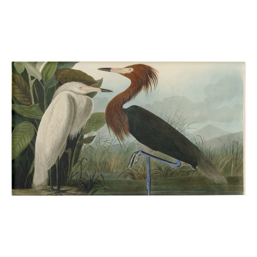 Lila Heron Audubon Bird Wildlife Painting Namenschild (Vorderseite)