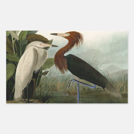 Lila Heron Audubon Bird Wildlife Painting Rechteckiger Aufkleber (Vorderseite)