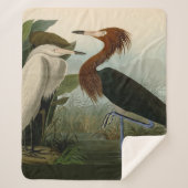Lila Heron Audubon Bird Wildlife Painting Sherpadecke (Vorderseite)