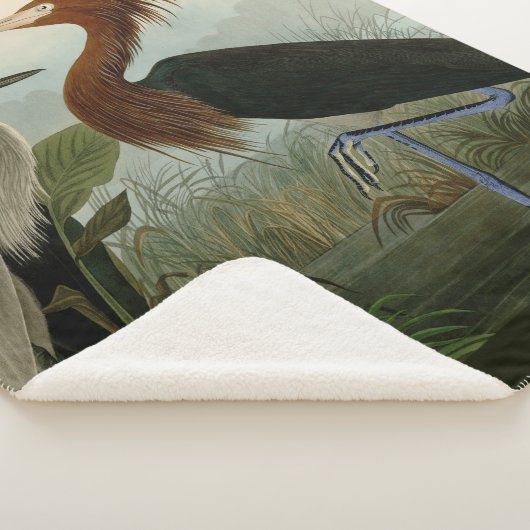 Lila Heron Audubon Bird Wildlife Painting Sherpadecke (3/4)