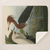 Lila Heron Audubon Bird Wildlife Painting Sherpadecke (Vorderseite (Horizontal))