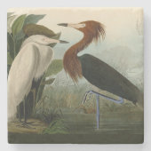 Lila Heron Audubon Bird Wildlife Painting Steinuntersetzer (Vorderseite)