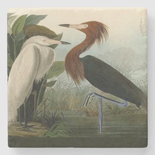 Lila Heron Audubon Bird Wildlife Painting Steinuntersetzer