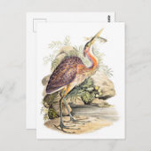 Lila Heron (mit Fisch) von Elizabeth Gwillim Postkarte (Vorne/Hinten)