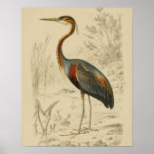 Lila Heron Tracks Edouard Print Poster (Vorne)