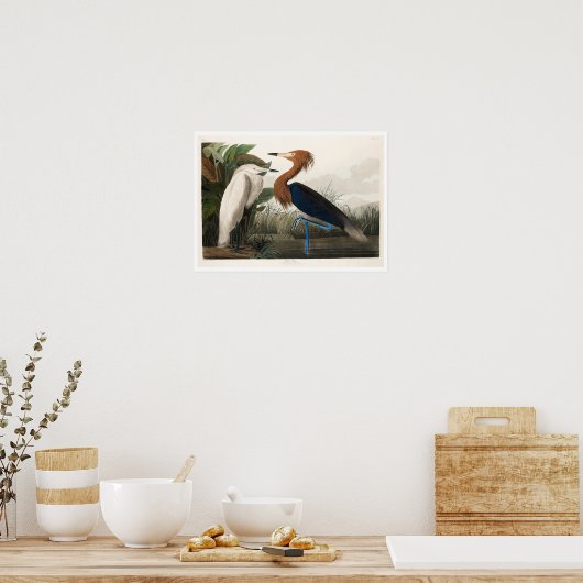 Lila Heron von Audubon Poster (Küche)