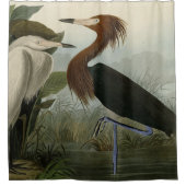 Lila Heron - von Audubons Birds of America Sho Duschvorhang (Vorderseite)